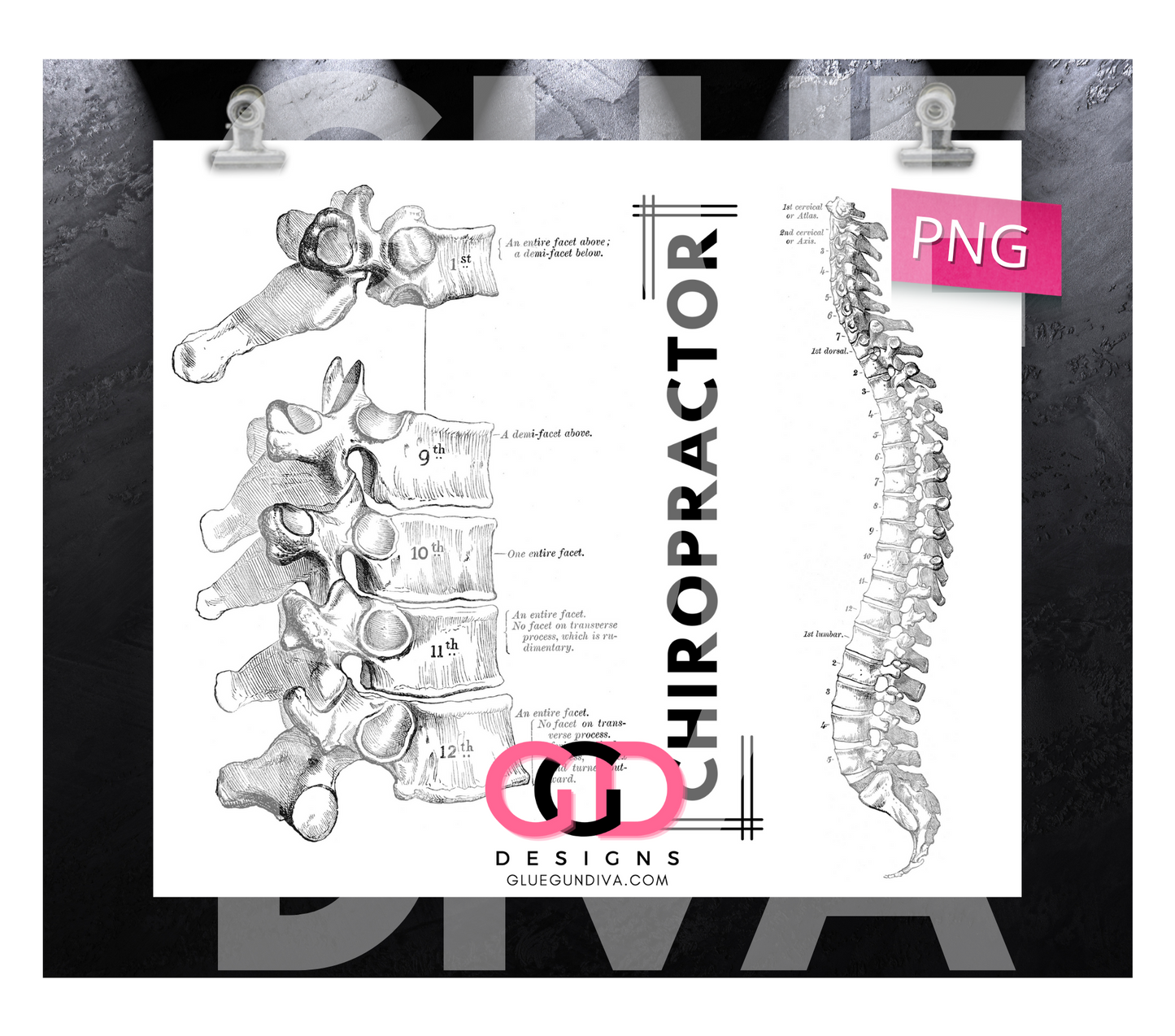Chiropractor - Digital tumbler wrap for 20 oz skinny straight tumbler