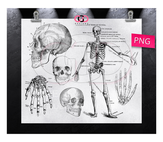 Skeleton Labels - Digital tumbler wrap for 20 oz skinny straight tumbler