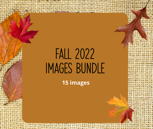 Fall BUNDLE - 15 images
